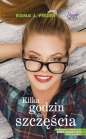 Kilka godzin do szczęścia. Tom 1 - Roma J. Fiszer
