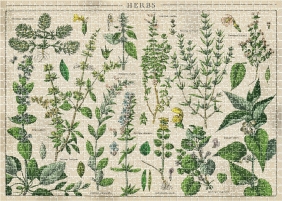 Puzzle 1000: Vintage Nature 1 - Herbs