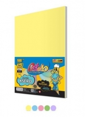 Papier ksero A4 80g 5 kolorów 100 arkuszy pastel