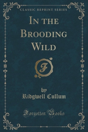 In the Brooding Wild (Classic Reprint) - Cullum Ridgwell