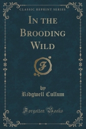 In the Brooding Wild (Classic Reprint)