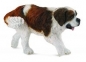 Pies bernard L (88506)