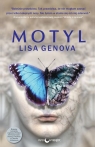 Motyl Genova Lisa