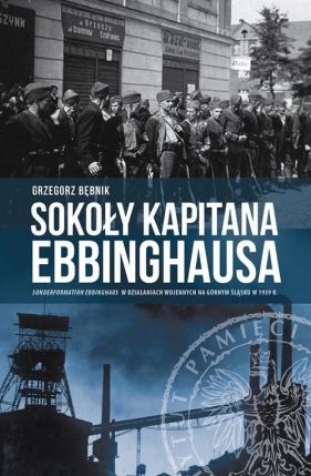Sokoły kapitana Ebbinghausa - Grzegorz Bębnik