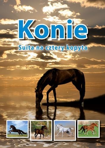 Konie