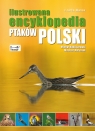 Ilustrowana encyklopedia ptaków Polski  Radziszewski Michał, Matysiak Mateusz
