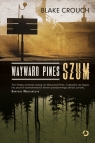 Wayward Pines Szum Crouch Blake