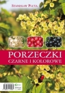 Porzeczki czarne i kolorowe