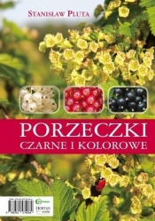 Porzeczki czarne i kolorowe