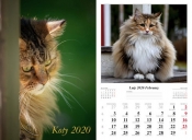 Kalendarz 2020 wieloplanszowy Koty
