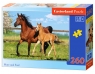 Puzzle 260: Mare and Foal (27064)