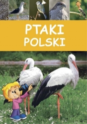 Ptaki Polski - Marchowski Dominik