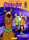 Scooby-Doo! Psi porywacz