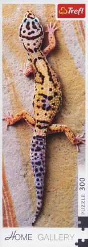Puzzle 300: Wygrzewająca się jaszczurka (75006)