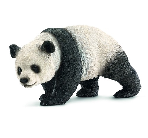 Panda olbrzymia (14706)