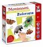 Kapitan Nauka. Montessori. Karty sensoryczne. Zwierzęta (2+)