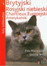 Koty krótkowłose Brytyjski. Rosyjski niebieski. Cartreux.Europejski, Gotz Eva-Maria, Wolf Gesine