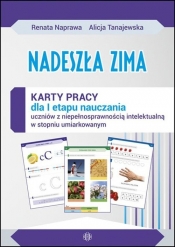 Nadeszła zima Karty pracy sztywna teczka - Renata Naprawa, Alicja Tanajewska