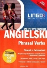Angielski Phrasal Verbs Słownik z ćwiczeniami Mitchel-Masiejczyk Alisa, Koziarska Dorota