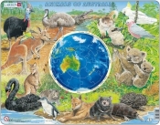 Zwierzęta Australii - <br />