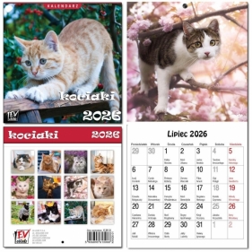 Kalendarz 2026 dla dzieci 16x32 13 plansz Kociaki