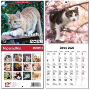 Kalendarz 2026 dla dzieci 16x32 13 plansz Kociaki