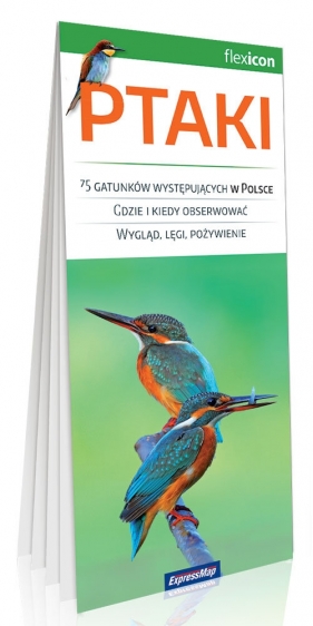 Ptaki - Petrykowski-Graszka Dariusz