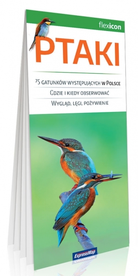 Ptaki - Dariusz Petrykowski-Graszka