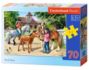 Puzzle Stud farm 70 (007066)