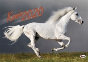Kalendarz Konie 2020 - Opracowanie zbiorowe