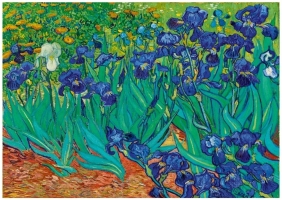 Bluebird Puzzle 1000: Irysy, Vincent van Gogh (60006)