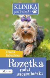 Klinika pod Boliłapką Rozetka rodzi szczeniaczki - Liliana fabisińska