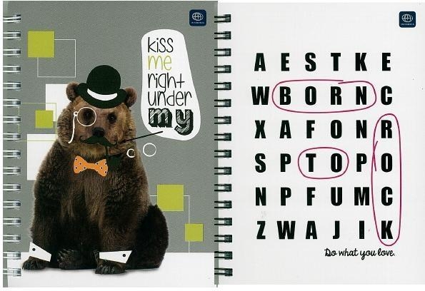 <img src='https://webimage.pl/pics/067/2/d156777.jpg' style='height:440px' /> Kołozeszyt A6/50K kratka (10szt)