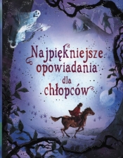 Najpiękniejsze opowiadania dla chłopców - Jane Bingham, Susanna Davidson
