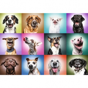 Trefl Prime UFT Puzzle 1000: Funny Dogs Faces (10706)