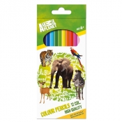 Kredki ołówkowe 12 kolorów Animal Planet
