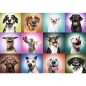 Trefl Prime UFT Puzzle 1000: Funny Dogs Faces (10706)