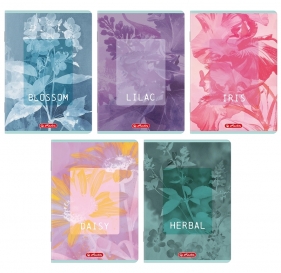 Zeszyt Herlitz Standard Blossom A5/60k linia z marginesem, 1 szt