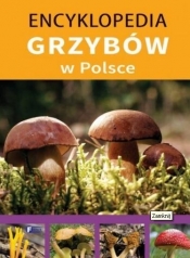 Encyklopedia grzybów w Polsce (Uszkodzona okładka) - Opracowanie zbiorowe