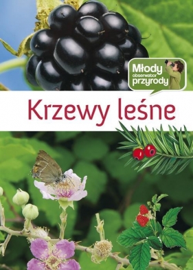 Krzewy leśne