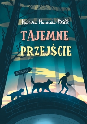 Tajemne przejście - Marzena Cieślik Mazińska