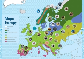 Moja pierwsza encyklopedia - zwierzęta - Opracowanie zbiorowe