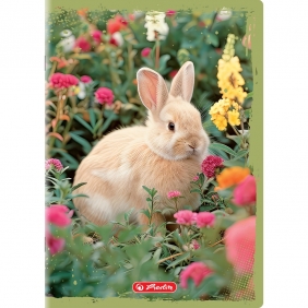 Zeszyt Herlitz Animals A5/32k kratka z marginesem, 1 szt