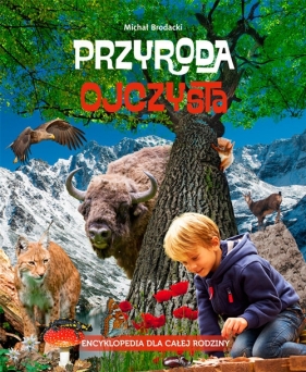 Przyroda ojczysta - Michał Brodacki