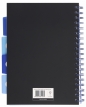 Kołozeszyt Strigo Pads Project Book B5 kratka - Tygrys