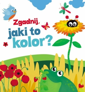 Zgadnij jaki to kolor - Urszula Kozłowska
