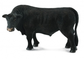 Byk czarny Angus