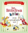 Biblioteczka przedszkolaka Jan Brzechwa dzieciom