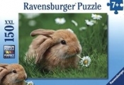 Puzzle 150 Cudowne króliczki (100071)