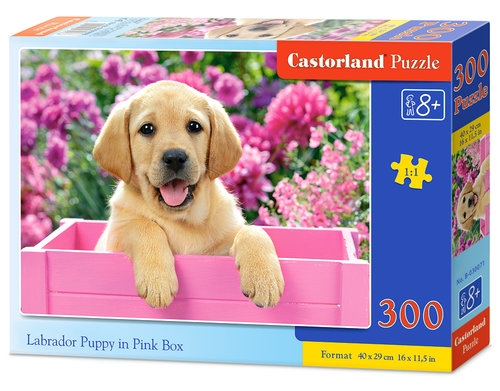 Puzzle Labrador Puppy in Pink Box 300 (B-030071)